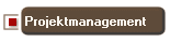 Projektmanagement