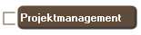 Projektmanagement